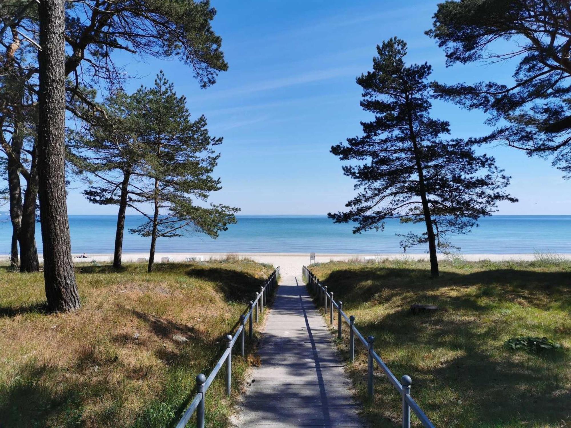 Seerosen - Seeblick *